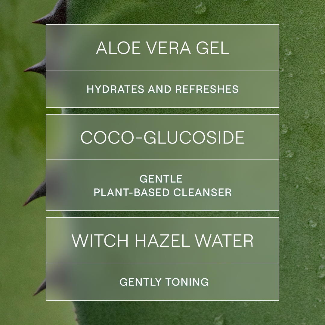 Skin Food Deep Cleansing Gel