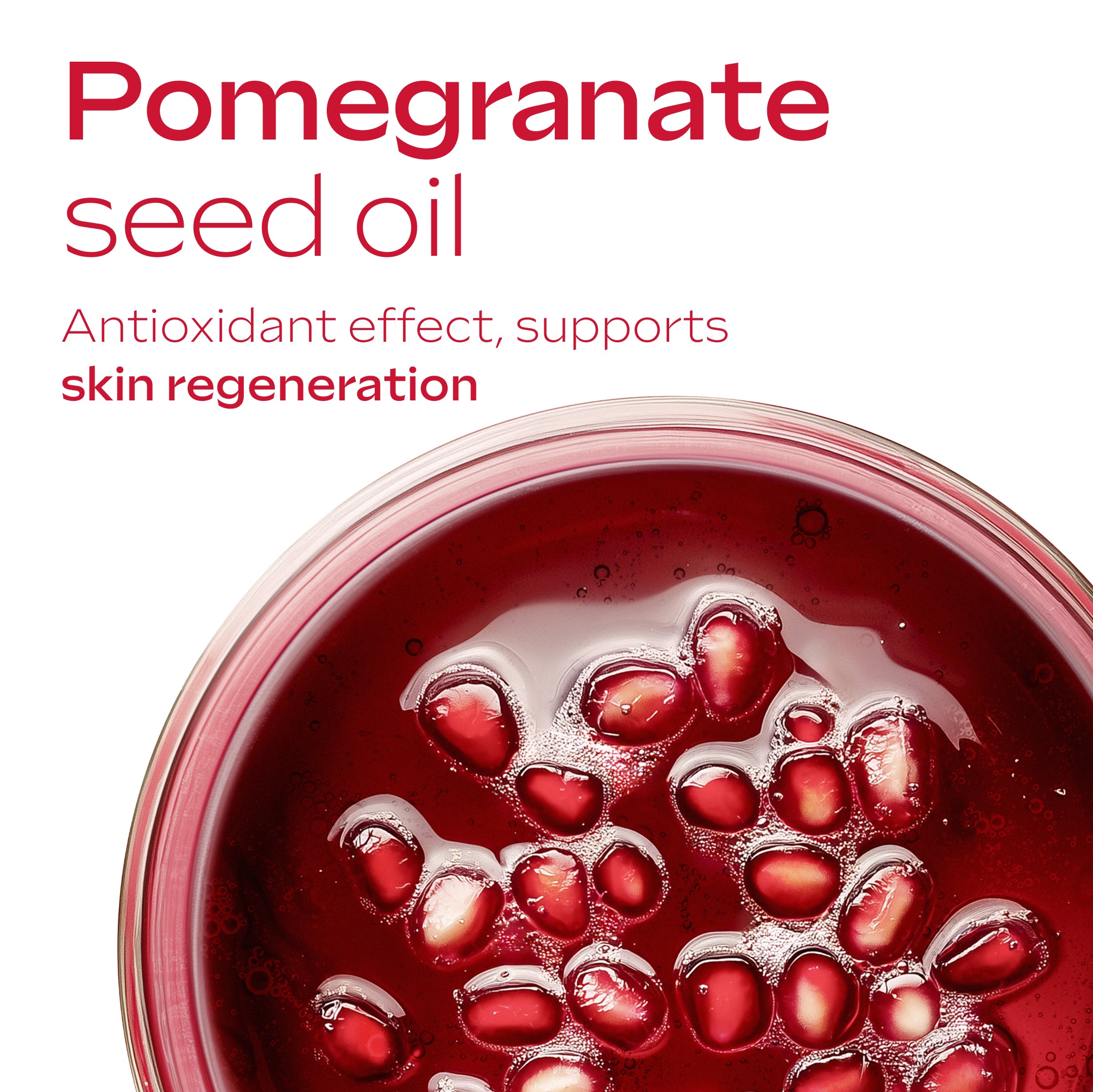 Pomegranate & Maca Peptides Firming Night Cream 40ml