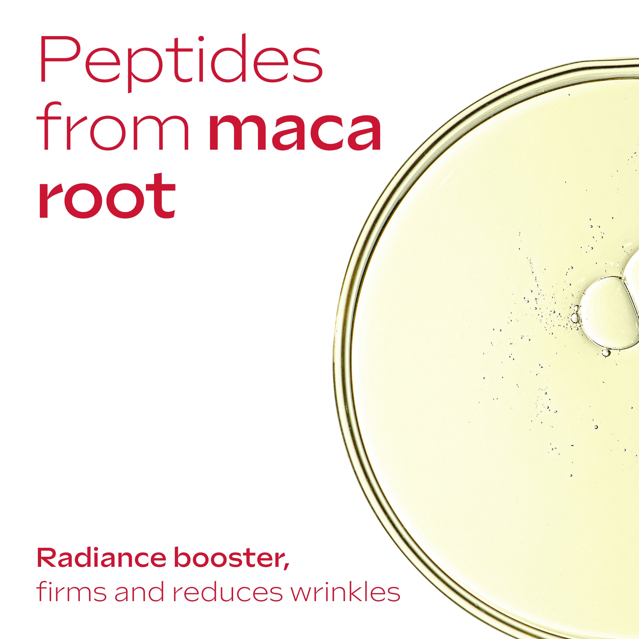 Pomegranate & Maca Peptides Firming Day Cream 40ml