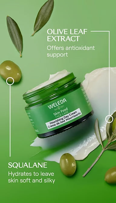 Skin Food Day Cream 40ml