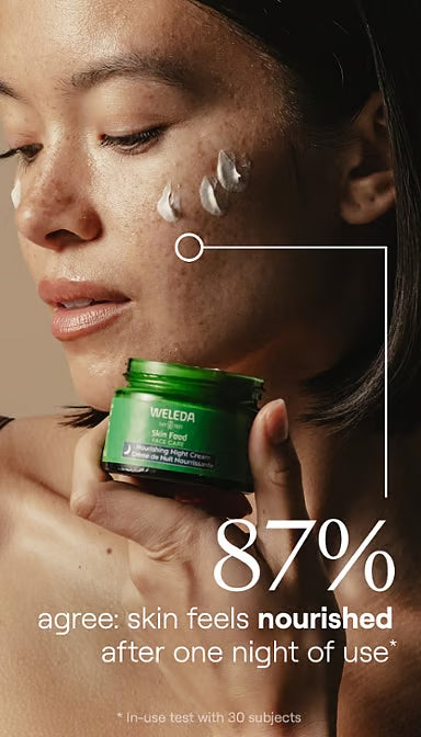 Skin Food Night Cream 40ml